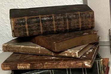 antiquarische Bücher 19. Jahrhundert - Sammelwerke